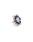 Gorgeous Flower Natural Sapphire Studs